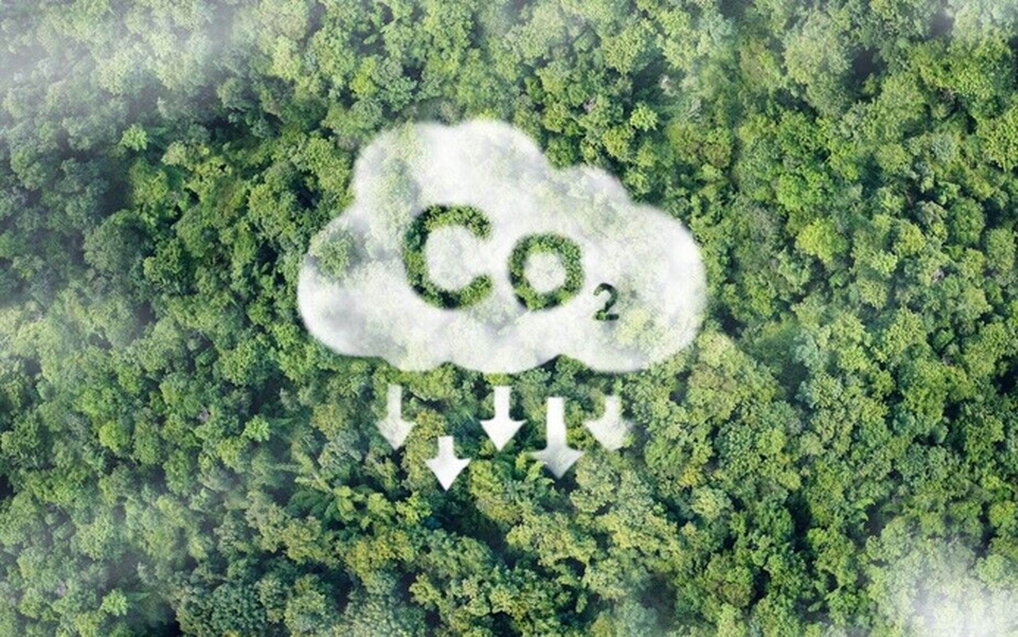 Überprüfung und Zertifizierung der Emissionsreduzierung